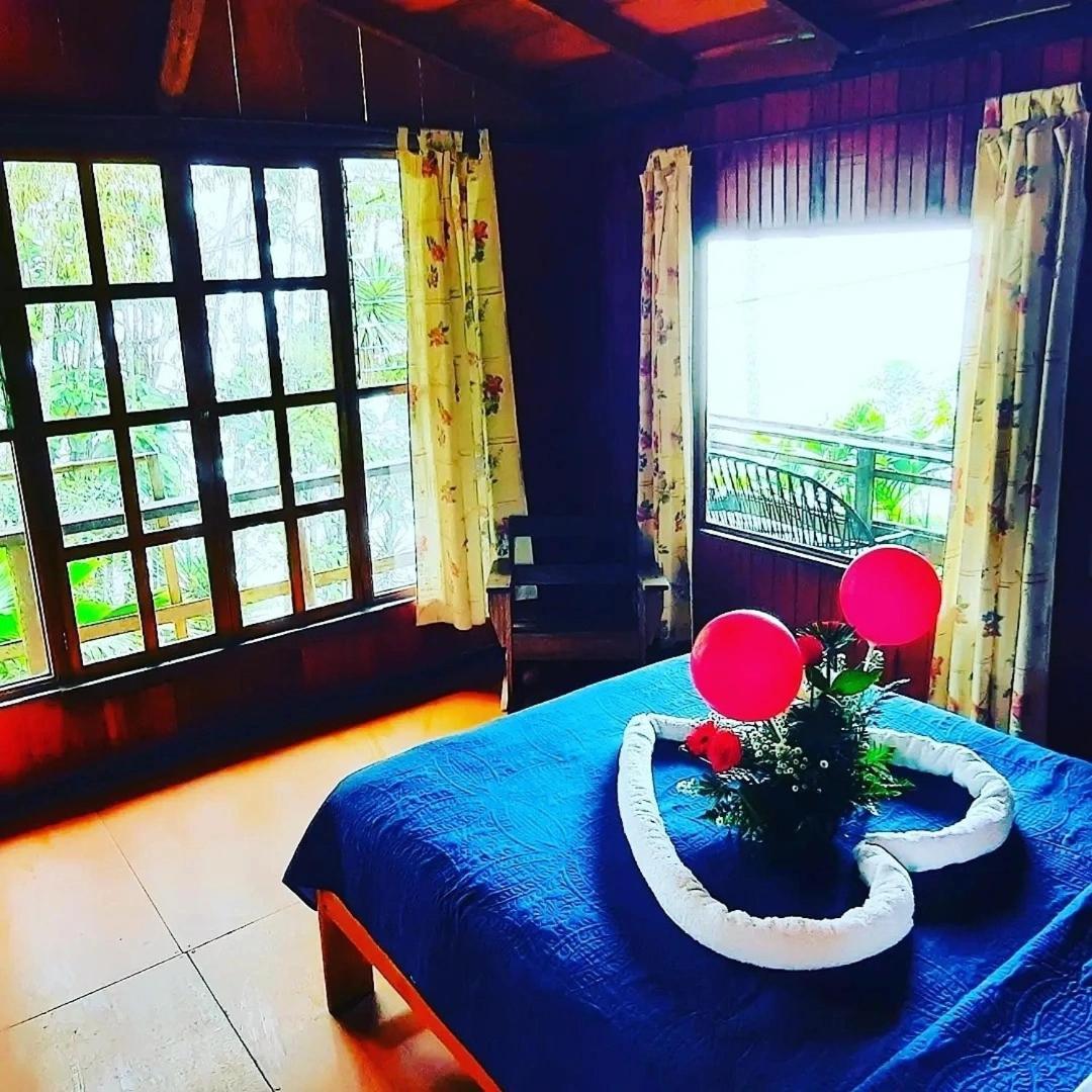 טוריאלבה Pochotel חדר תמונה