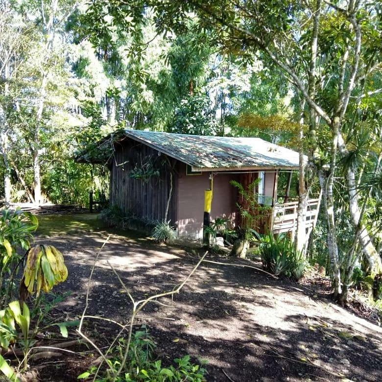 טוריאלבה Pochotel מראה חיצוני תמונה